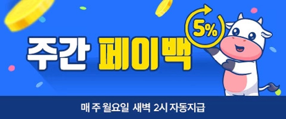 벳38 주간 5% 페이백 프로모션 안내 배너